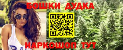 гашик Мариинск